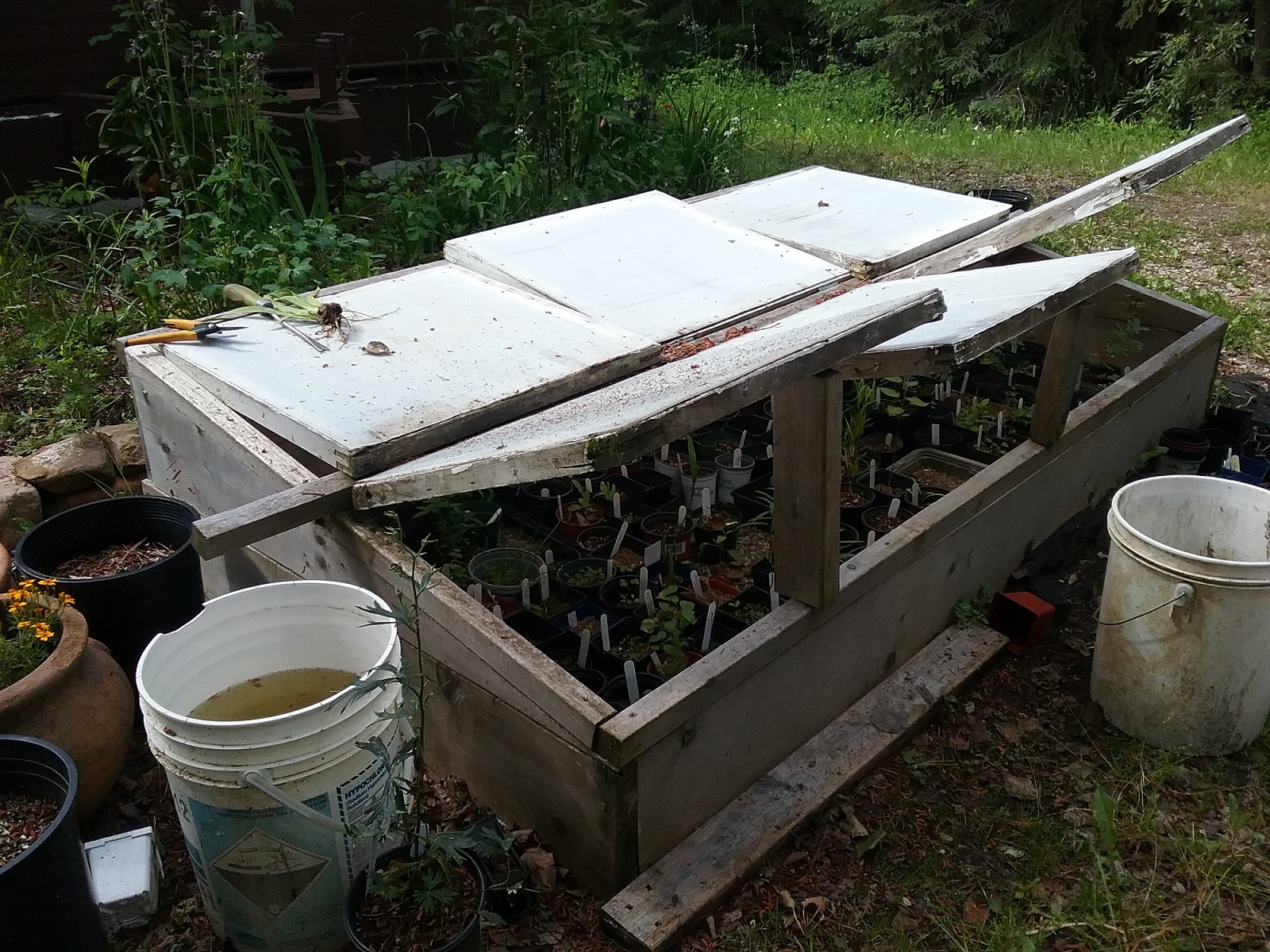 Cold Frame for Seed Starting